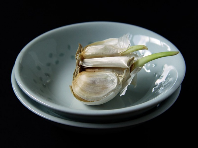 How to cook garlic sprouts