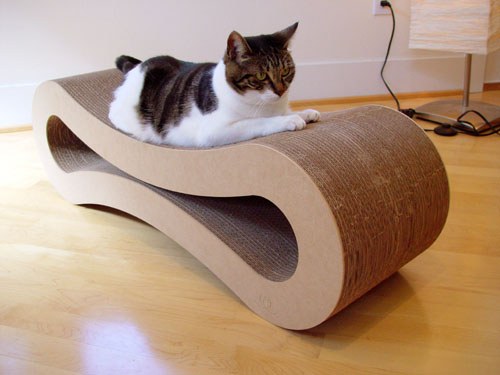 How to wean a cat to scratch furniture