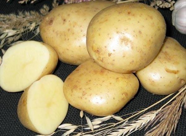 Как в квартире хранить картошку