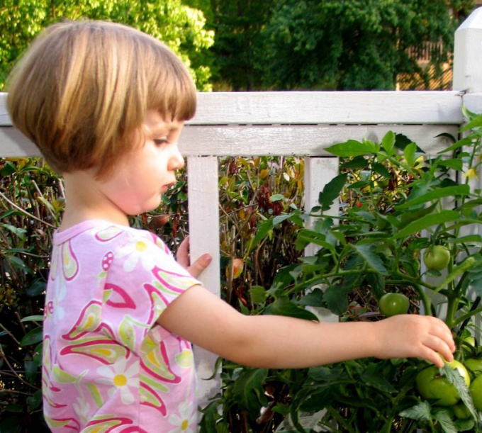 Как приучить ребенка к овощам