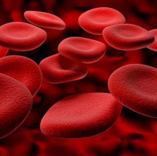 Как определить ярус гемоглобина в крови