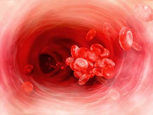 How to increase the number of platelets in the blood