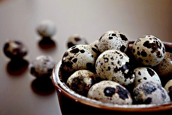 How to boil quail eggs to children