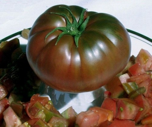 How to grow tomatoes black