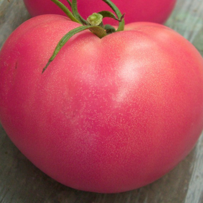 How to grow pink tomatoes