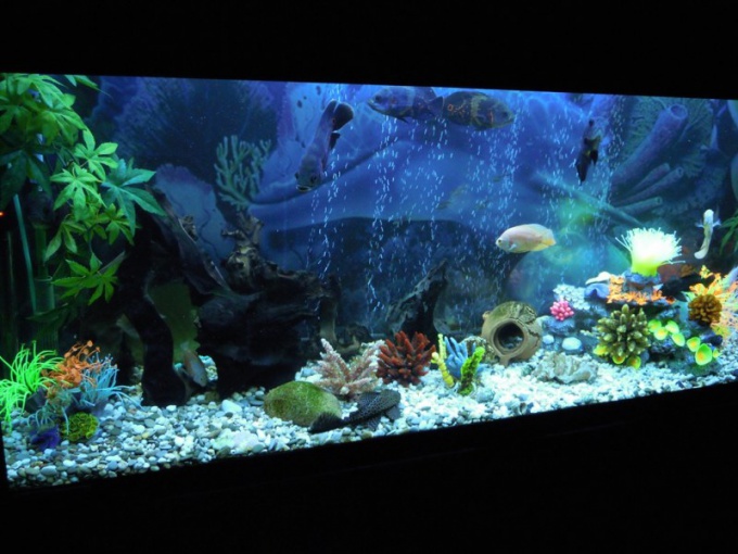 How to stick on the aquarium film