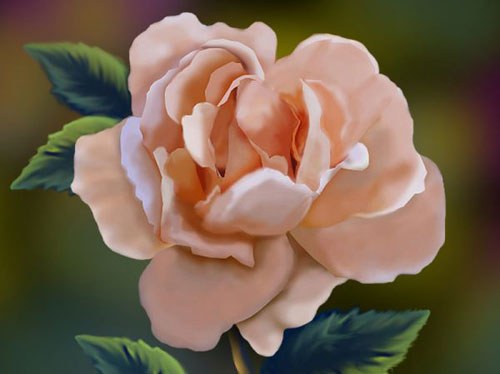 Как нарисовать красиво розу