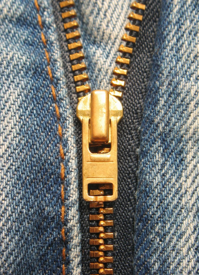 How to put the dog on the zipper