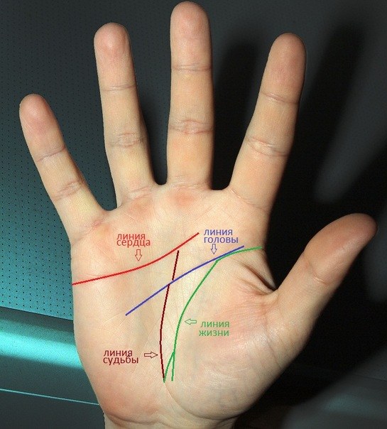 There are several distinct main lines, which can be found in nature