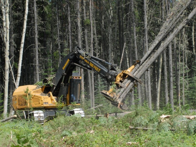 Как выписать лес на строительство