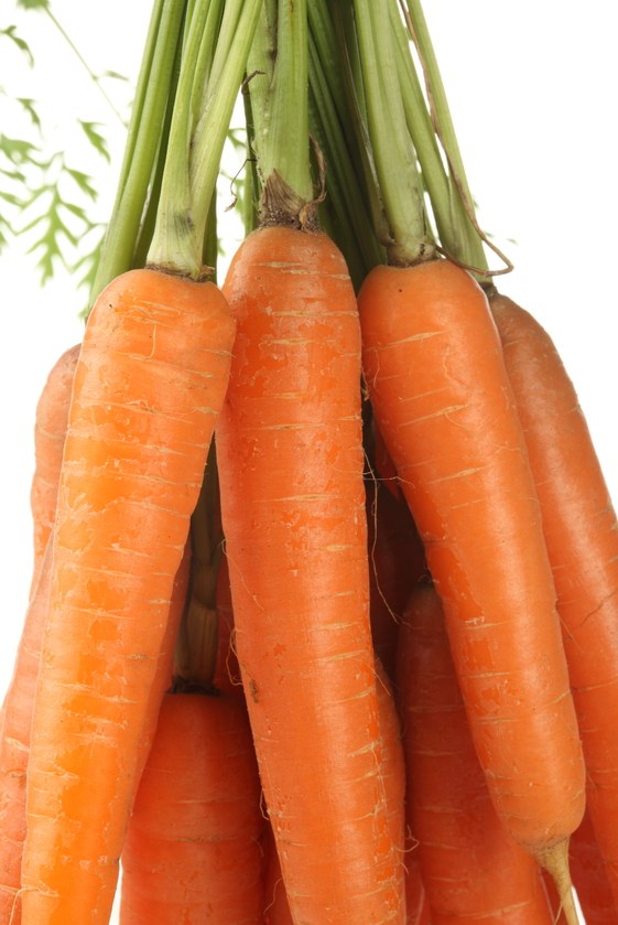 Как нарисовать морковь