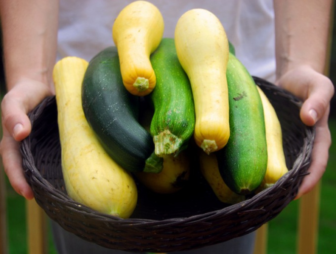 How to make zucchini baked with cheese 