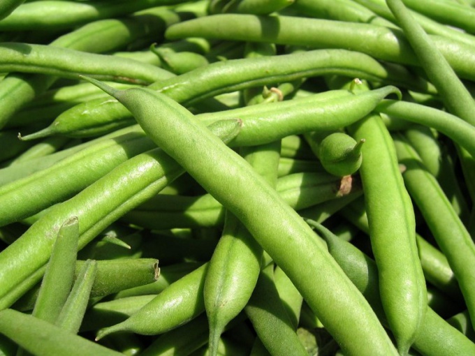 How to grow beans