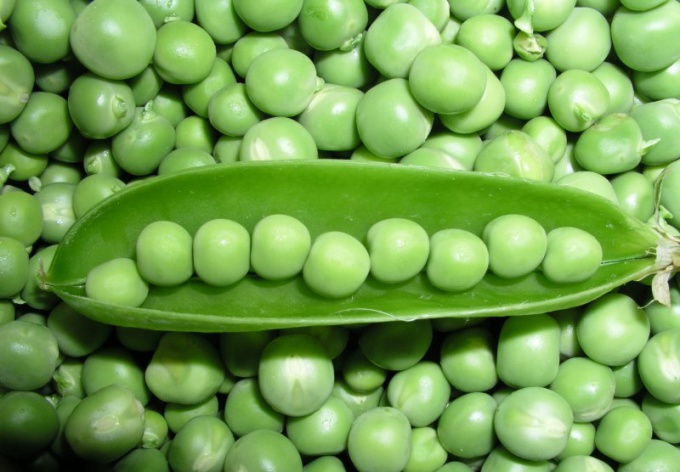 What to cook young green peas