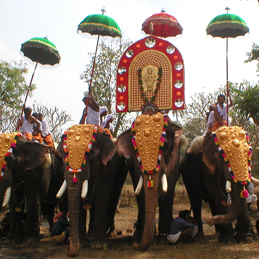 Как проводится Фестиваль Священного Зуба на Шри-Ланке
