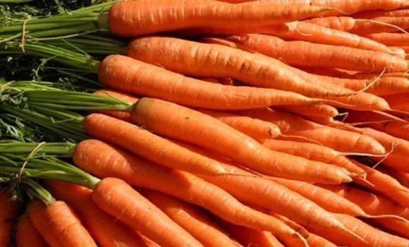 Когда сажать морковь