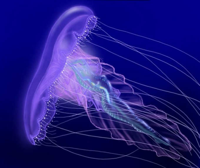 Почему медузы жалят