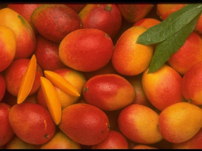 Кто придумал Фестиваль манго в Индии