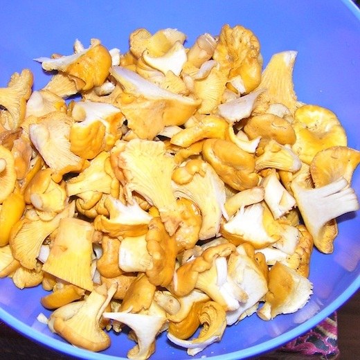 How to cook fried chanterelles