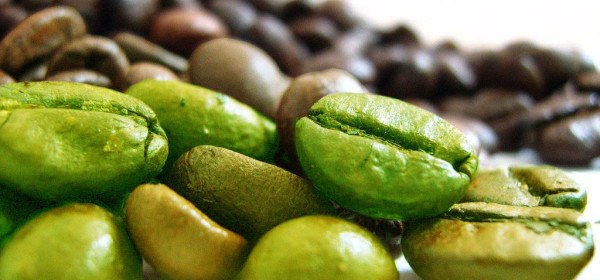 Как правильно заваривать зеленый кофе