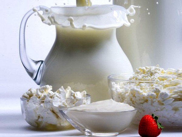 What can you cook in the yogurt maker