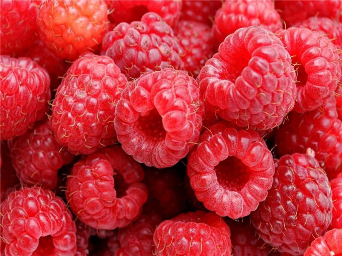 Grow and care for raspberries