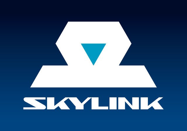 Как пользоваться skylink 