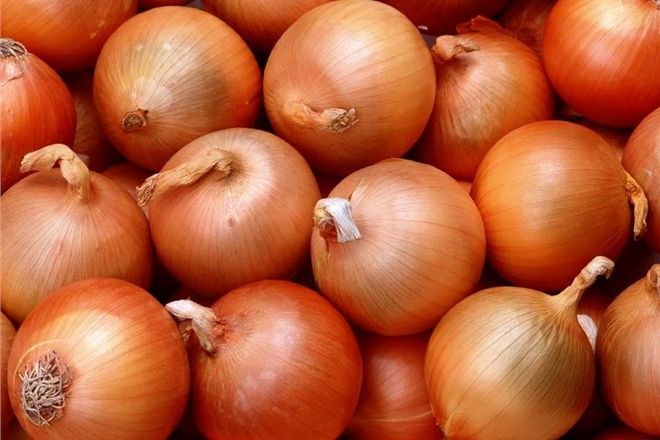 Onions possess a number of medicinal properties