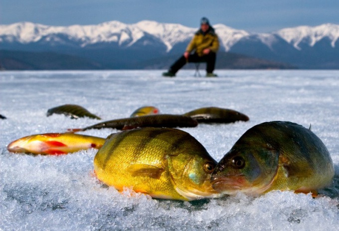 Куда поехать на зимнюю рыбалку