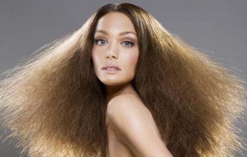 Укрощение «одуванчика» или как справиться с электризованностью волос