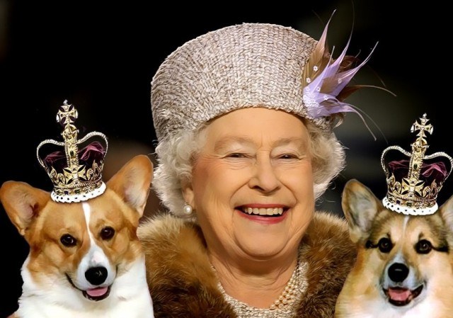 Какой породы собака английской королевы?