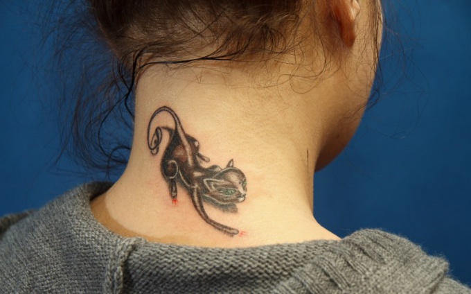 What does the tattoo of a cat