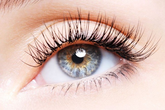 How to make a tool for quick eyelash growth