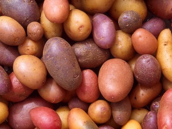 Как правильно выбрать хороший картофель