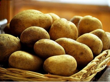 Как правильно выбрать хороший картофель