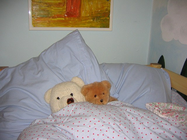 How to put to sleep his Teddy bear