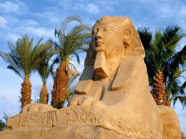Как с пользой отдохнуть в Египте