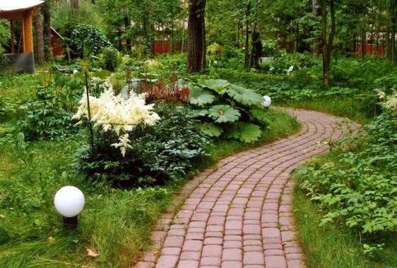 What to plant along walkway