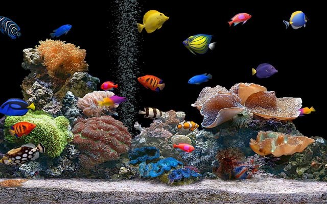 почему дохнут рыбки в аквариуме