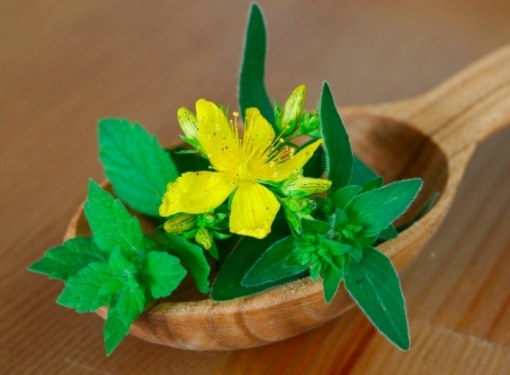 How to use St. John's wort for depression