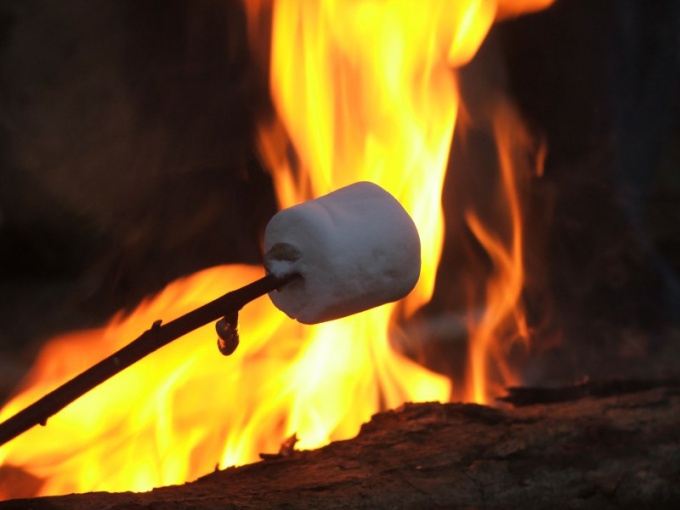 How to roast marshmallows on a campfire