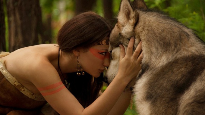 How to tame a wolf