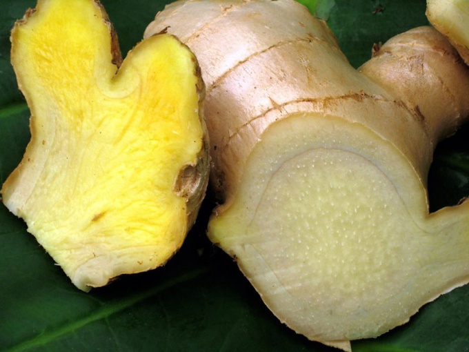 How to use ginger in the treatment of breast cancer