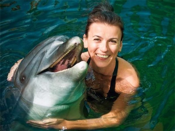 Swimming with dolphins in Moscow