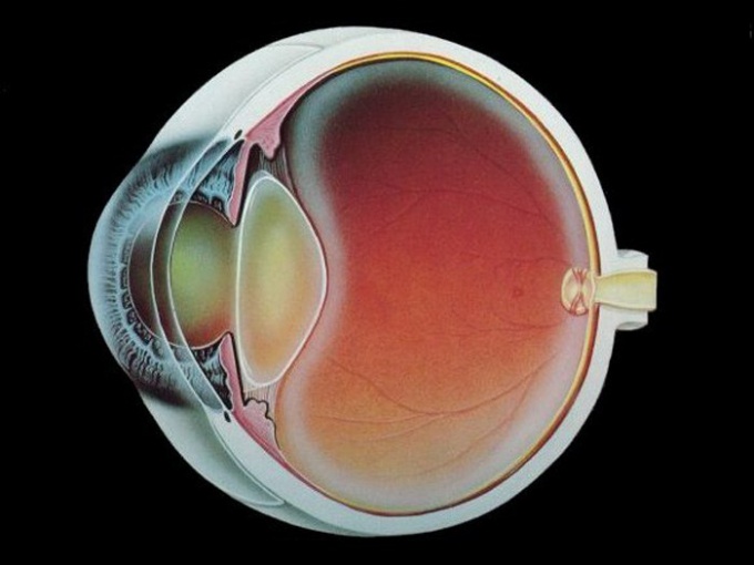 Можно ли вылечить катаракту без операции