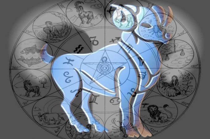 Which zodiac signs fit the Calf