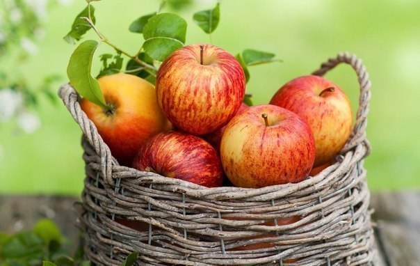 Какие яблоки самые полезные
