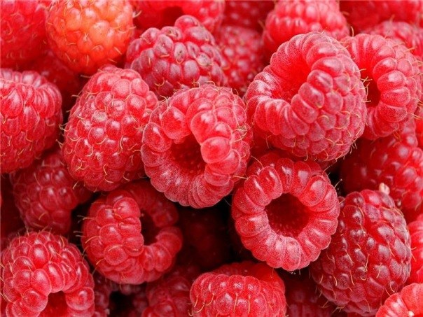 How to make raspberries in their own juice for the winter