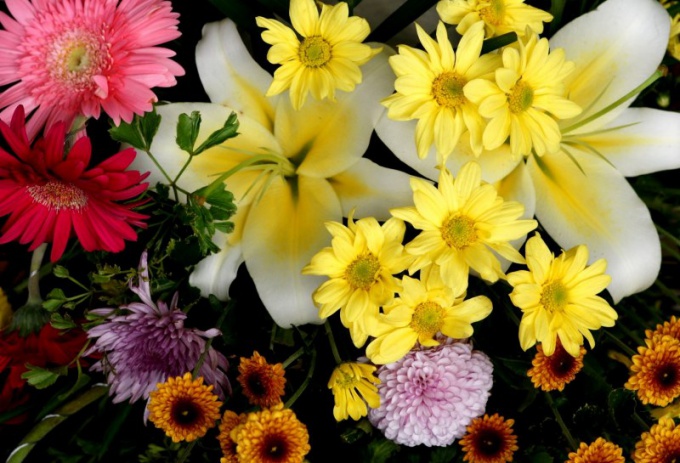 What flowers to give different signs of the zodiac