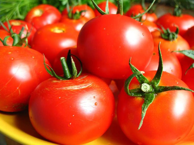 The benefits and harms of tomatoes